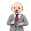 🤑 Эмодзи «doggies» для Telegram