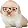🤓 Эмодзи «doggies» для Telegram