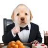 😎 Эмодзи «doggies» для Telegram