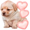 😘 Эмодзи «doggies» для Telegram