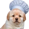 ☺️ Эмодзи «doggies» для Telegram