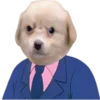 🤓 Эмодзи «doggies» для Telegram
