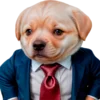😎 Эмодзи «doggies» для Telegram