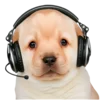 🤔 Эмодзи «doggies» для Telegram
