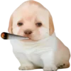 😮‍💨 Эмодзи «doggies» для Telegram