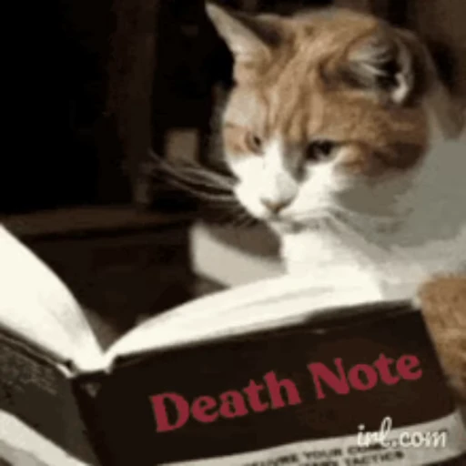 🐱 Стикер «Тетрадь смерти» для Telegram