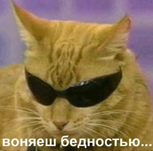 😎 Стикер «_notorious» для Telegram