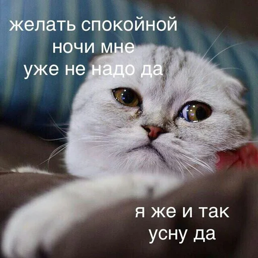 😭 Стикер «_notorious» для Telegram