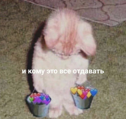 ❤️ Стикер «_notorious» для Telegram