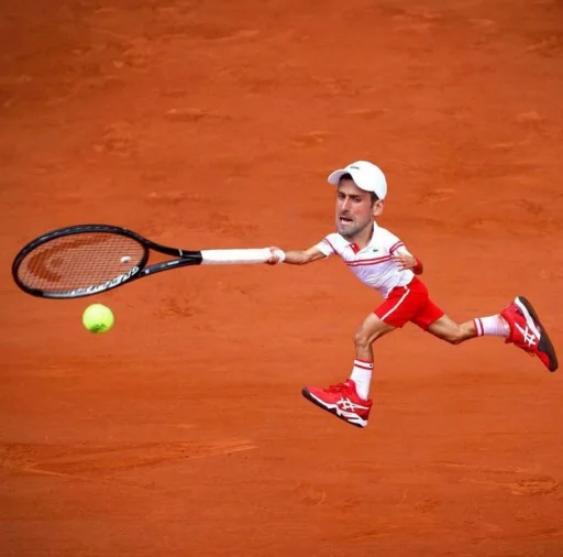 🎾 Стикер «Novak Djokovic» для Telegram