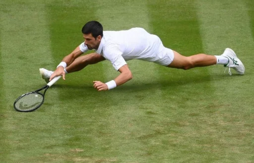 🤸‍♂️ Стикер «Novak Djokovic» для Telegram