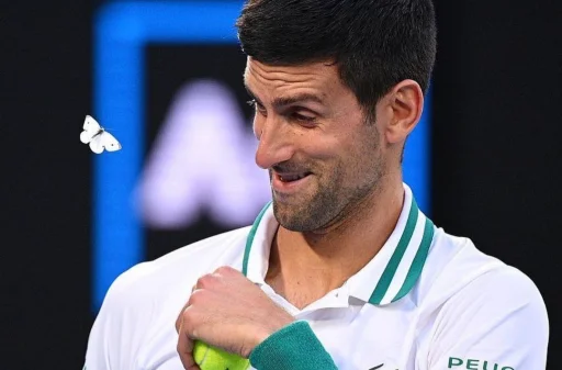 😌 Стикер «Novak Djokovic» для Telegram