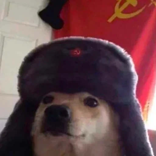🔨 Стикер «Memes & BTTV/FFZ Emotes • NovaXCIV» для Telegram
