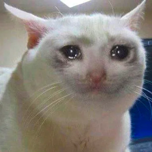 😢 Стикер «Memes & BTTV/FFZ Emotes • NovaXCIV» для Telegram