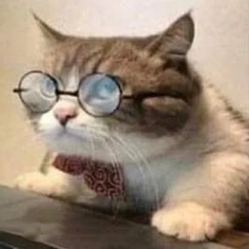 👀 Стикер «Memes & BTTV/FFZ Emotes • NovaXCIV» для Telegram