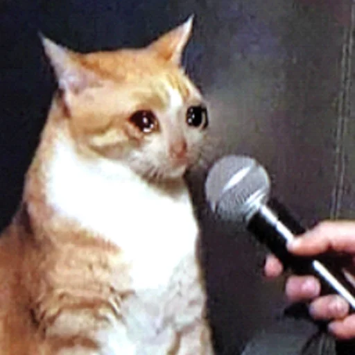 😢 Стикер «Memes & BTTV/FFZ Emotes • NovaXCIV» для Telegram