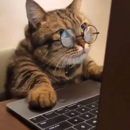 🧐 Стикер «Memes & BTTV/FFZ Emotes • NovaXCIV» для Telegram