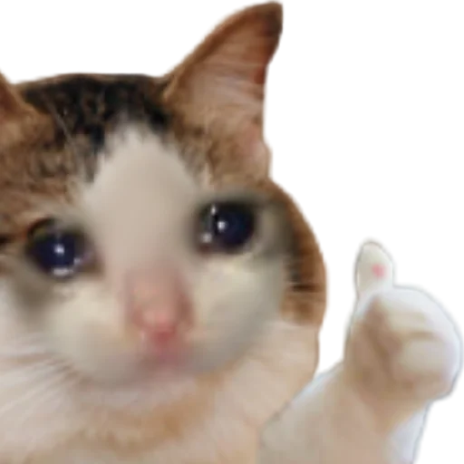 👍 Стикер «Memes & BTTV/FFZ Emotes • NovaXCIV» для Telegram