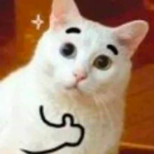 👍 Стикер «Memes & BTTV/FFZ Emotes • NovaXCIV» для Telegram