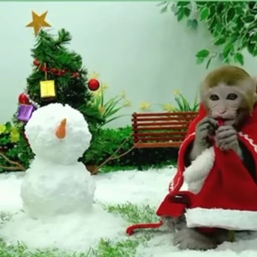 🎅 Стикер «Новогодние обезьянки» для Telegram