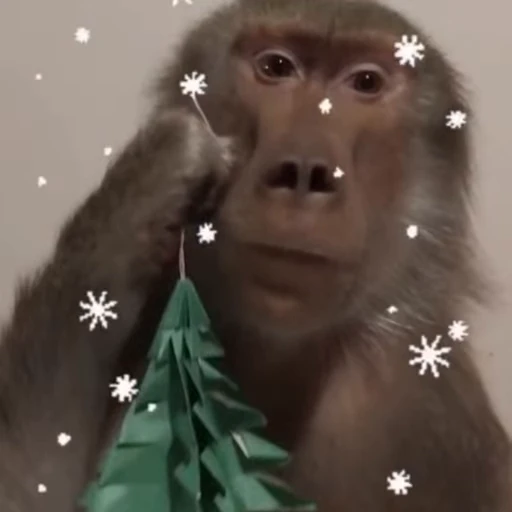 🎅 Стикер «Новогодние обезьянки» для Telegram