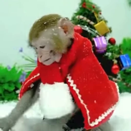 🎅 Стикер «Новогодние обезьянки» для Telegram
