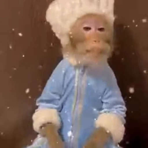 🎄 Стикер «Новогодние обезьянки» для Telegram