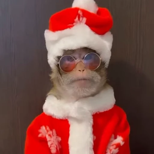 🎄 Стикер «Новогодние обезьянки» для Telegram