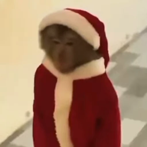 🎅 Стикер «Новогодние обезьянки» для Telegram