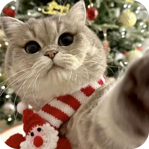 🫥 Стикер «Новый год» для Telegram