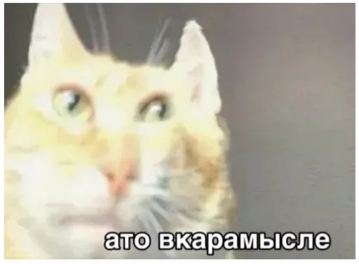 😒 Стикер «Аче)» для Telegram
