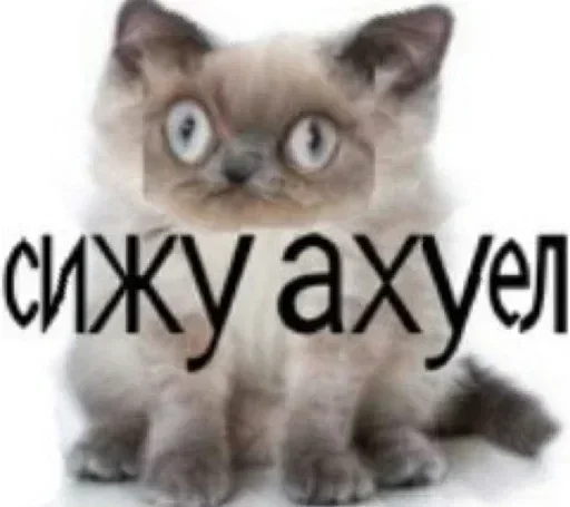 😳 Стикер «Аче)» для Telegram