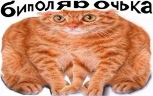 🧐 Стикер «Аче)» для Telegram