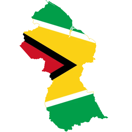 🇬🇾 Стикер «Country Of America» для Telegram