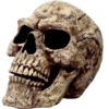 ☠️ Эмодзи «𝙶𝔬𝙶» для Telegram