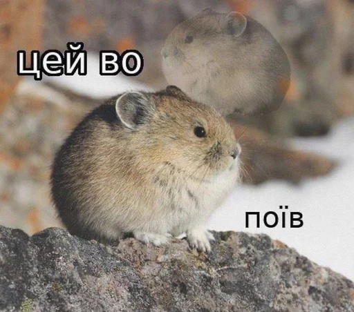 😋 Стикер «Моє» для Telegram