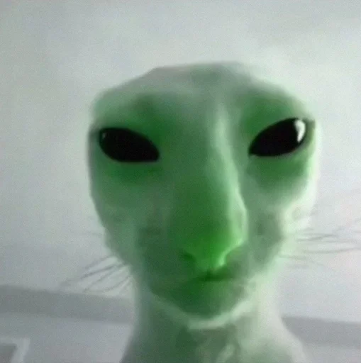 👽 Стикер «Моє» для Telegram