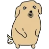 🥺 Эмодзи «Nudaeng dog» для Telegram