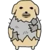 🐶 Эмодзи «Nudaeng dog» для Telegram