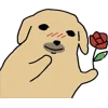 🌹 Эмодзи «Nudaeng dog» для Telegram