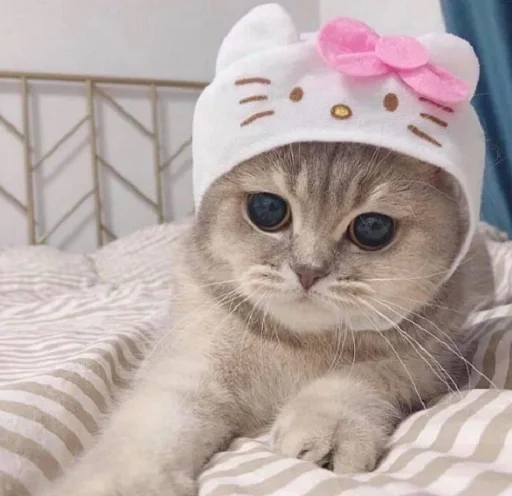 💘 Стикер «nuresen» для Telegram