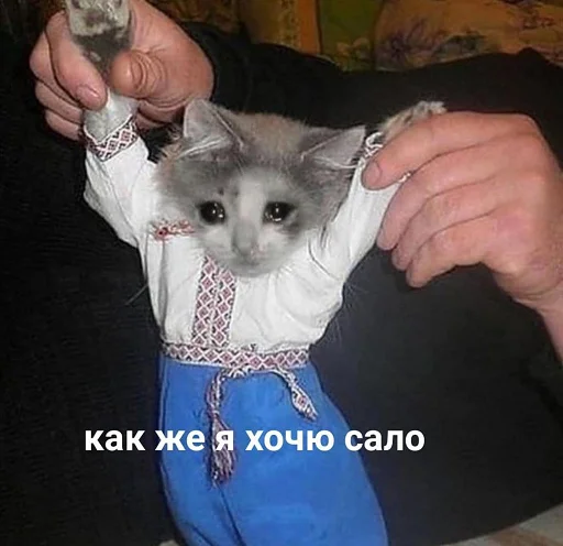 🙁 Стикер «nuresen» для Telegram