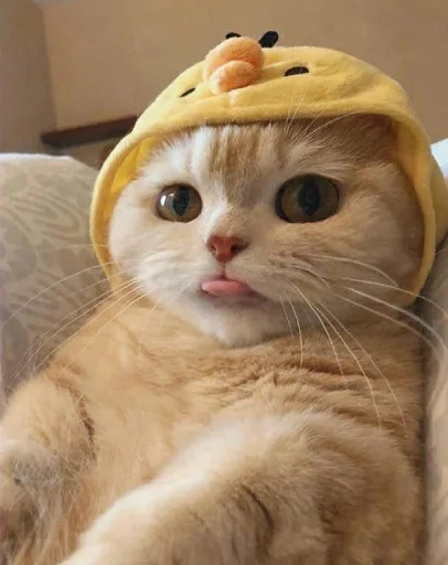 😛 Стикер «nuresen» для Telegram