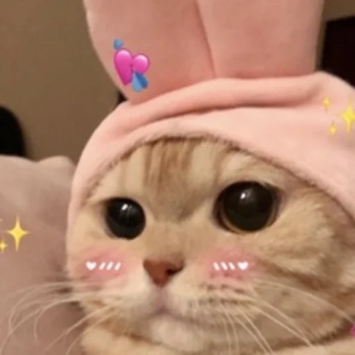 💘 Стикер «nuresen» для Telegram