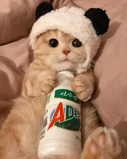 🍼 Стикер «nuresen» для Telegram