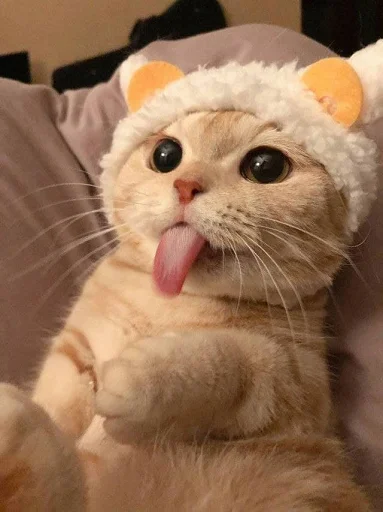 😋 Стикер «nuresen» для Telegram