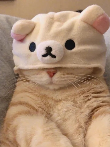 🧸 Стикер «nuresen» для Telegram