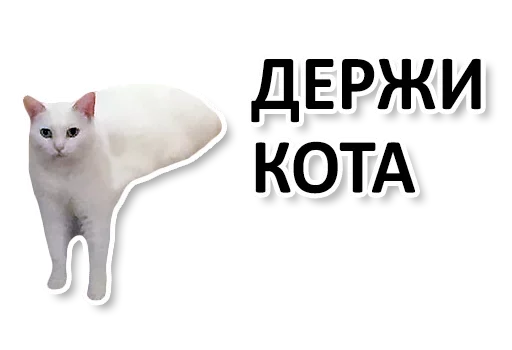 🐈 Стикер «Ну Ты и жОпа» для Telegram