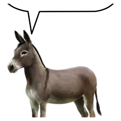 🐴 Стикер «Chat» для Telegram