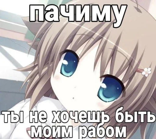 🤔 Стикер «няши» для Telegram